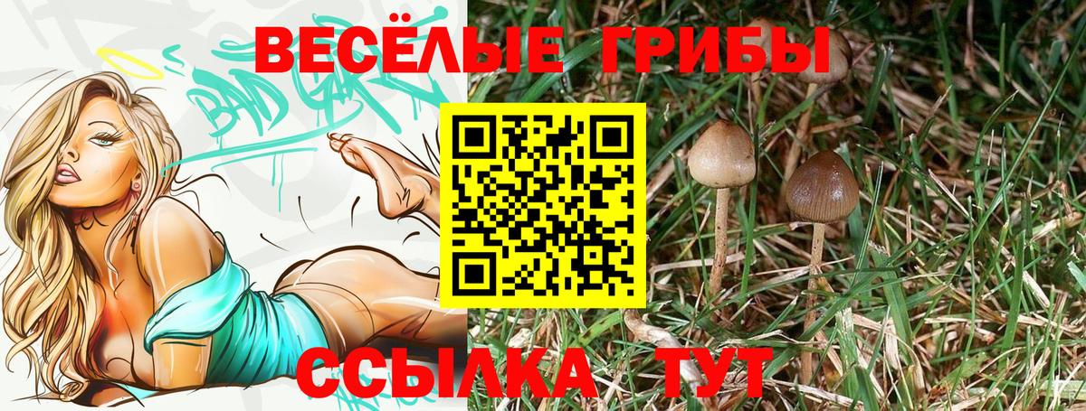 Галлюциногенные грибы мухоморы Соль-Илецк